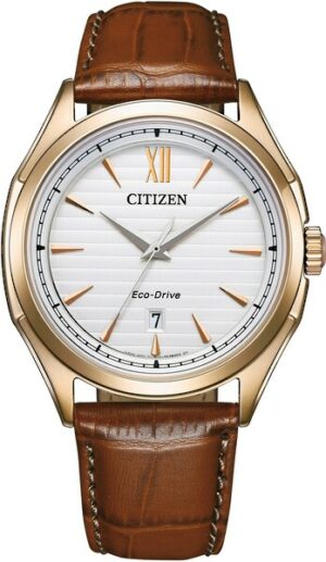 Citizen Solaruhr »AW1753-10A«