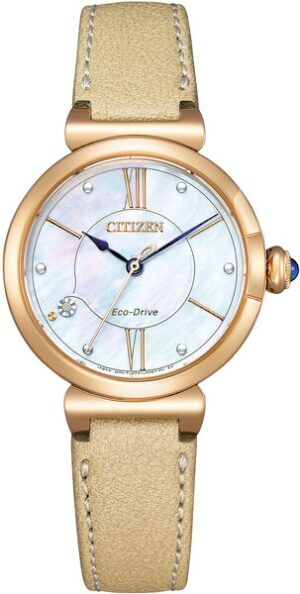 Citizen Solaruhr »EM1073-18D«