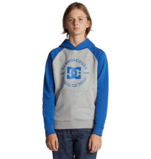 DC Shoes Kapuzensweatshirt »DC Star Pilot«