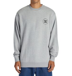 DC Shoes Sweatshirt »DC Star Pilot«