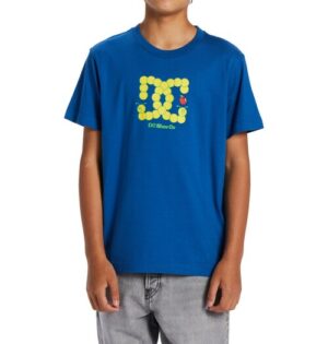 DC Shoes T-Shirt »Bookworm«