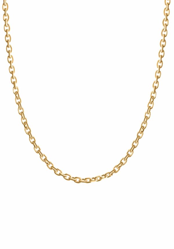 Firetti Goldkette »Schmuck Geschenk Gold 333 Halsschmuck Ankerkette«