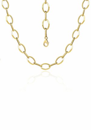 Firetti Goldkette »Schmuck Geschenk Gold 585