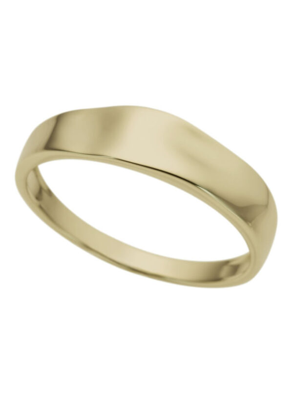 Firetti Goldring »Schmuck Geschenk Gold 333 Gewölbt«