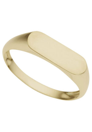 Firetti Goldring »Schmuck Geschenk Gold 333 Siegel-Optik«