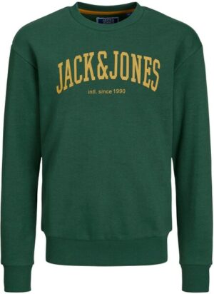 Jack & Jones Junior Sweatshirt »JJEJOSH SWEAT CREW NECK NOOS JNR«