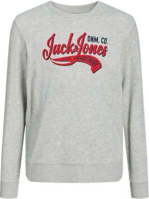 Jack & Jones Junior Sweatshirt »JJELOGO SWEAT CREW NECK 2 COL SS24 JNR«