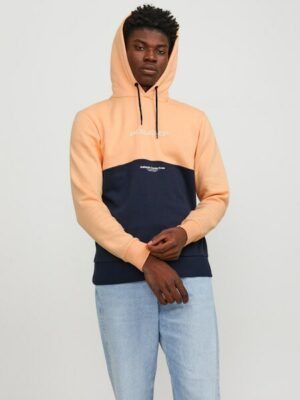 Jack & Jones Kapuzensweatshirt »JJERYDER BLOCKING SWEAT HOOD NOOS«