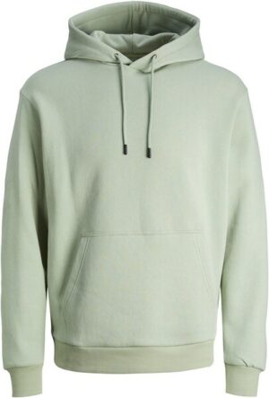 Jack & Jones PlusSize Kapuzensweatshirt »JJEBRADLEY SWEAT HOOD NOOS PLS«