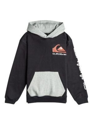 Quiksilver Kapuzensweatshirt »Omni Logo«