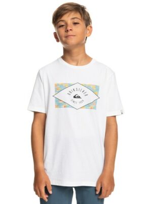 Quiksilver T-Shirt »Circled Line«