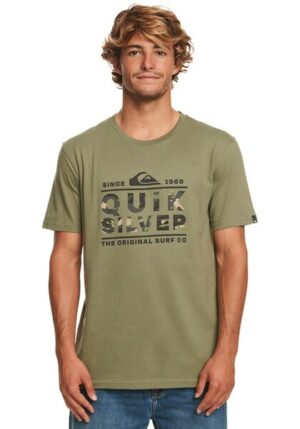 Quiksilver T-Shirt »LOGOPRINT TEES«