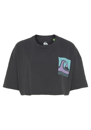 Quiksilver T-Shirt »UNI MAXI SCREEN TEE«