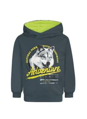 Trigema Sweatshirt »TRIGEMA Hoodie mit großem Wolf-Print«